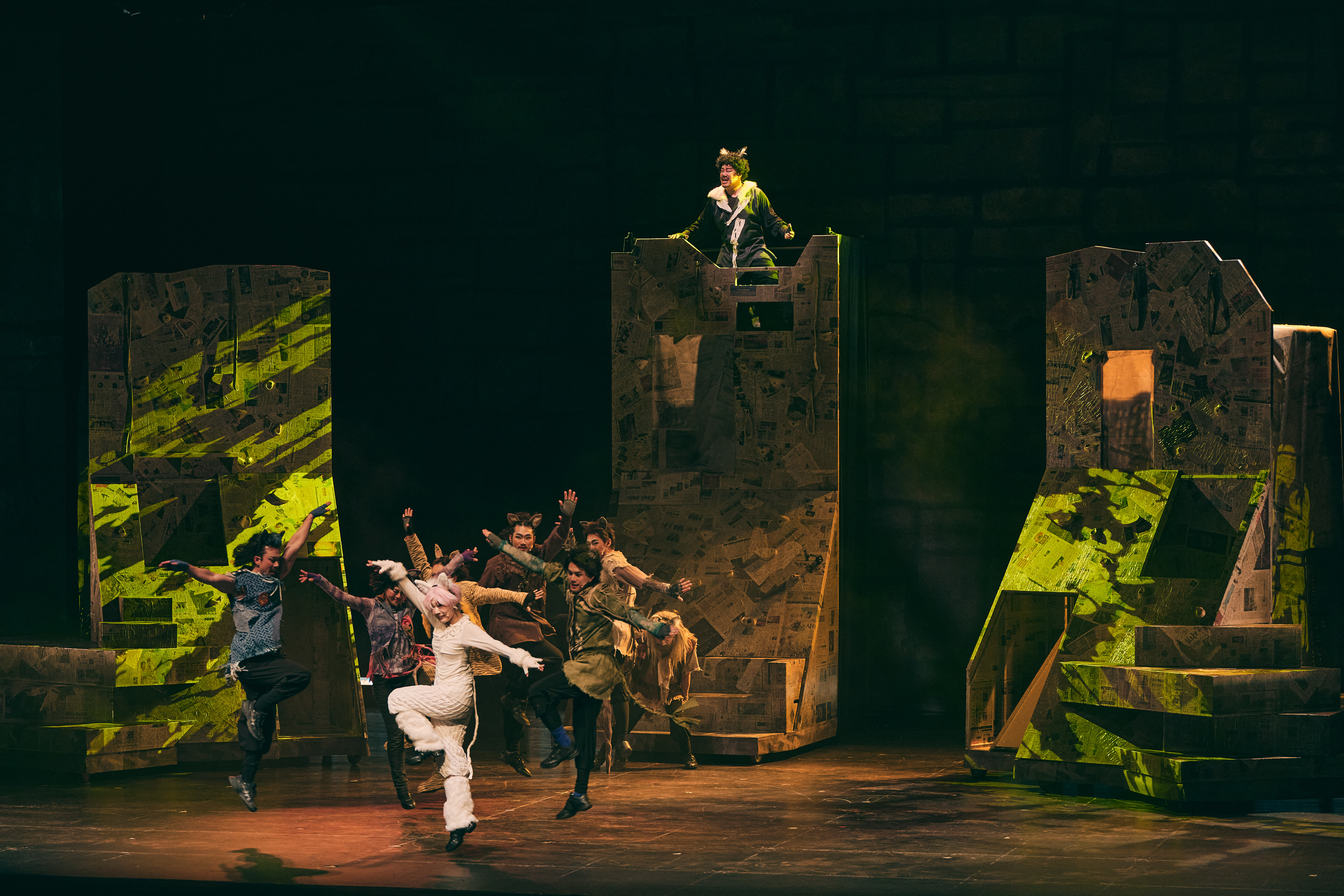 2025 갈매기에게 나는 법을 가르쳐준 고양이